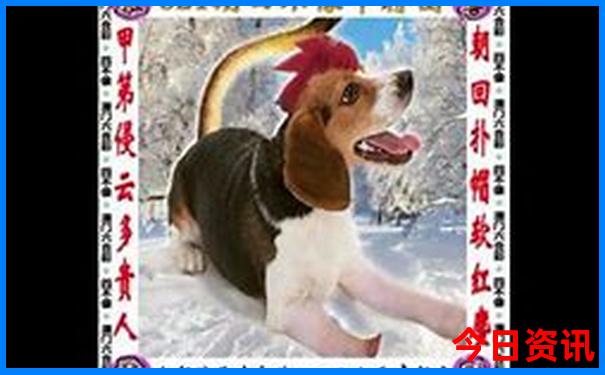 暑假适合去哪里凉快